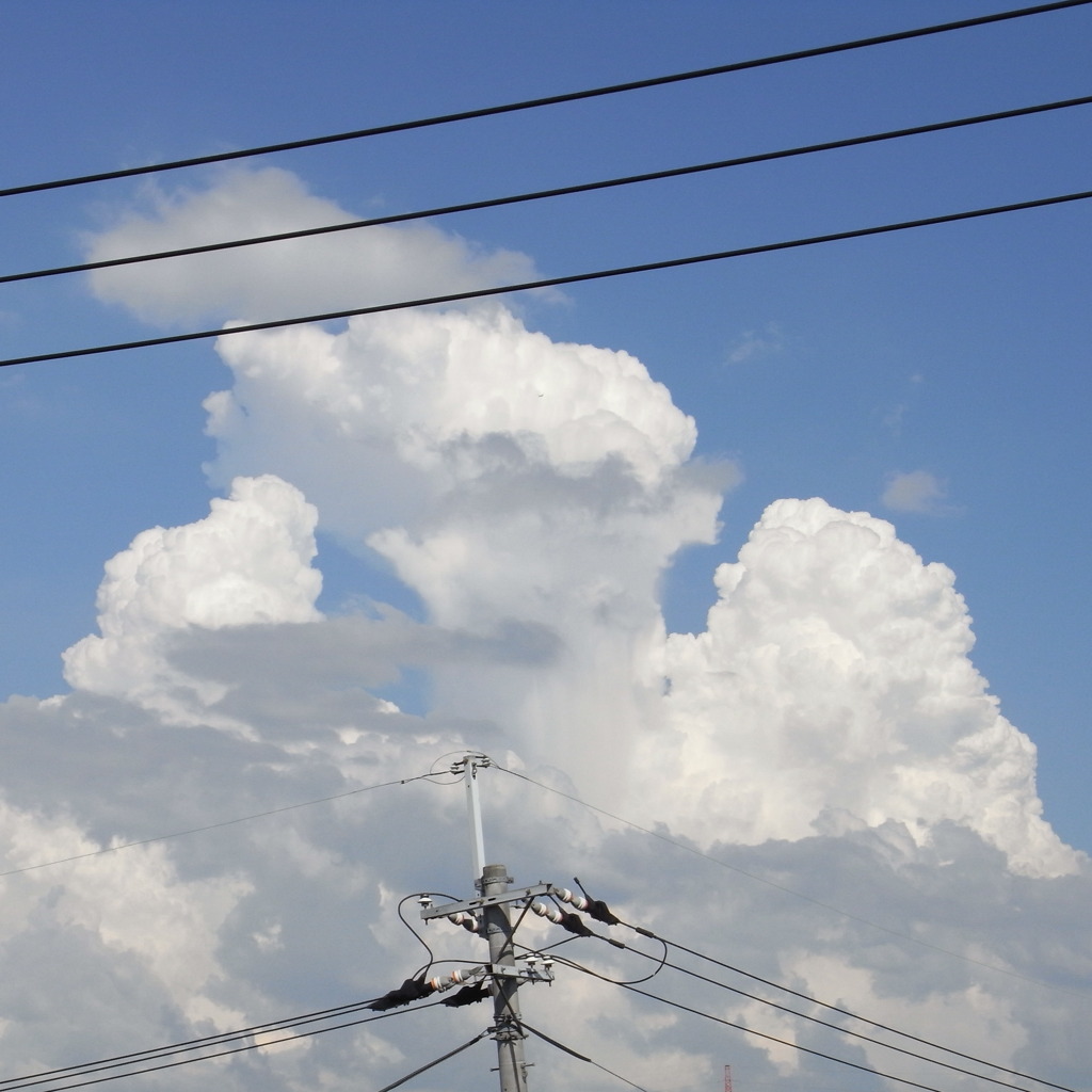 夏空とリコーブルー