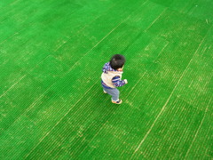 草原を歩く