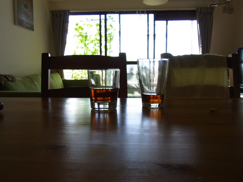 今日も暑いかなぁ？？