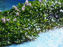 水しぶきの向こう