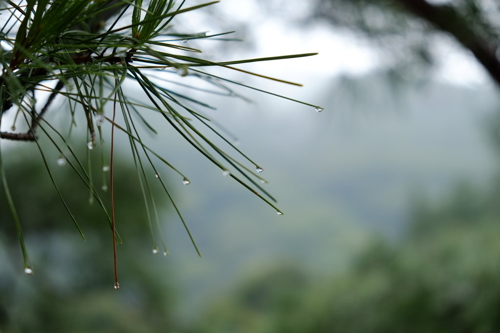 雨も小休止