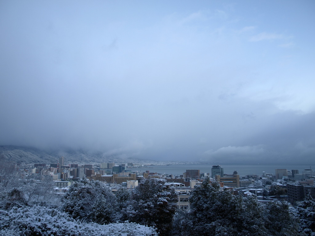 湖国の雪