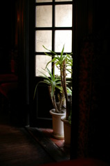 午後のひととき