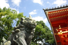 八坂神社の狛犬／デジタル
