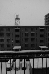 外の雪