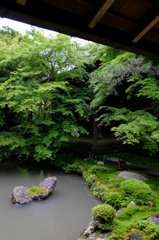 蓮花寺