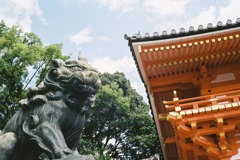 八坂神社の狛犬／フィルム
