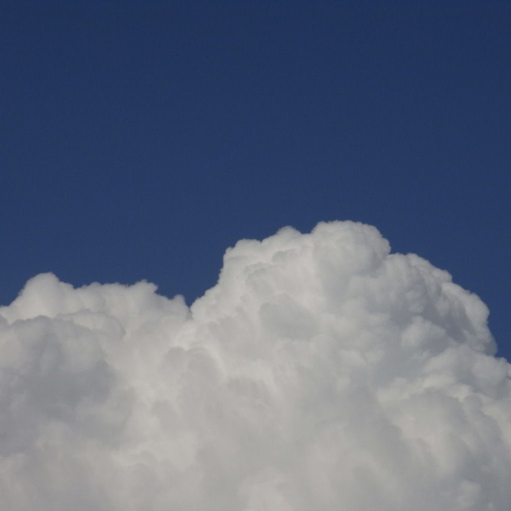 夏空とリコーブルー