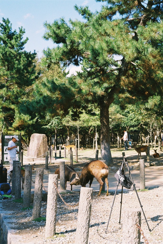 バトル