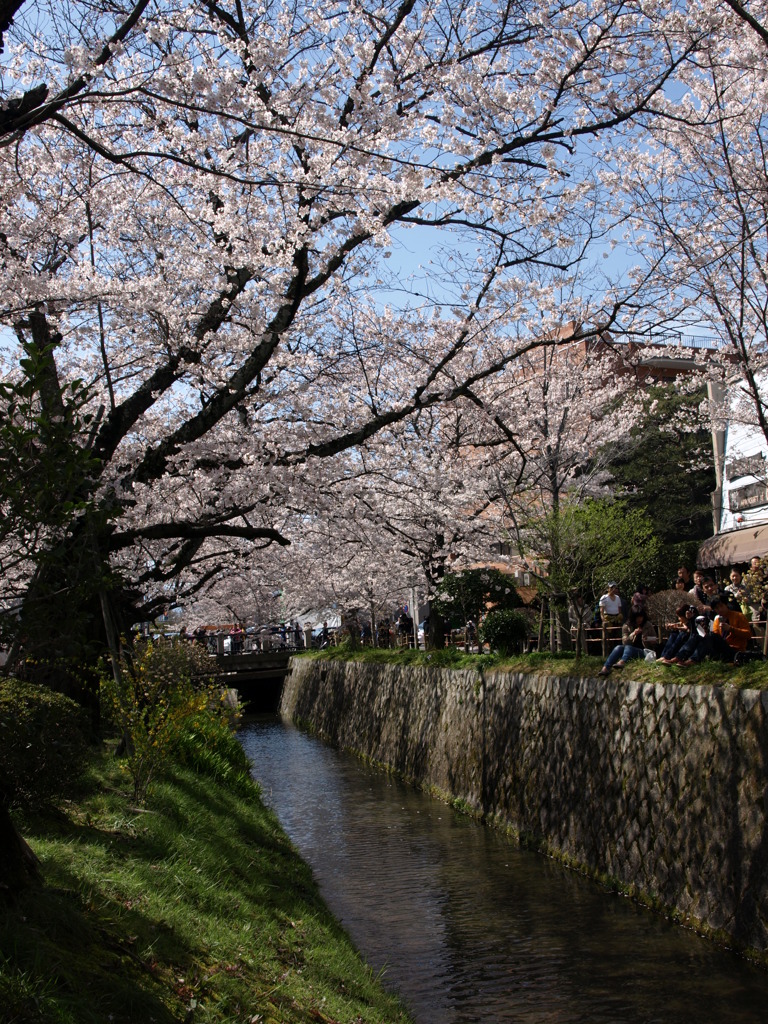 春の小川