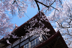 日本の空