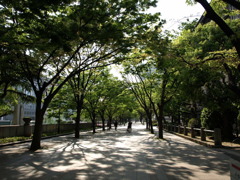 五月晴れ