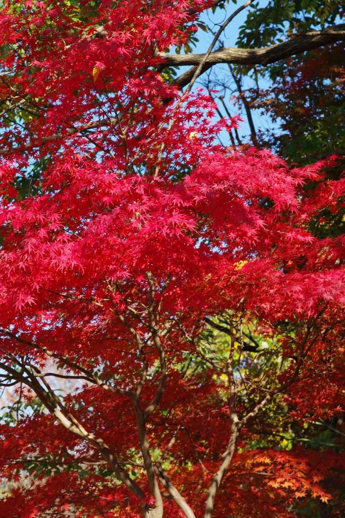 都会の公園 2