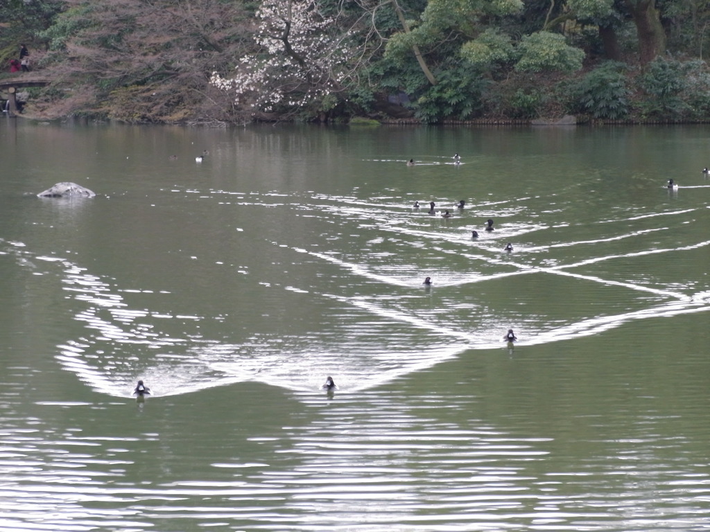 連隊　①