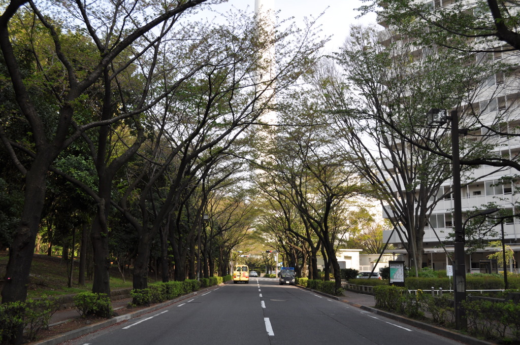 光が丘公園までの道・・・①