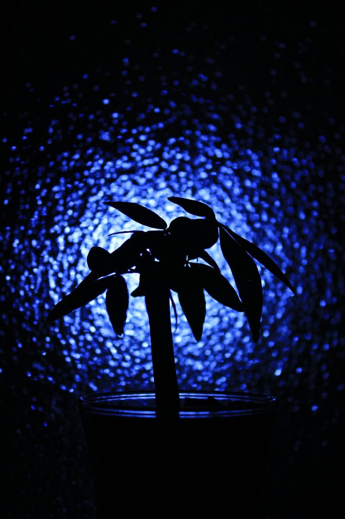 Floating  on the blue light...