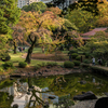 小石川後楽園