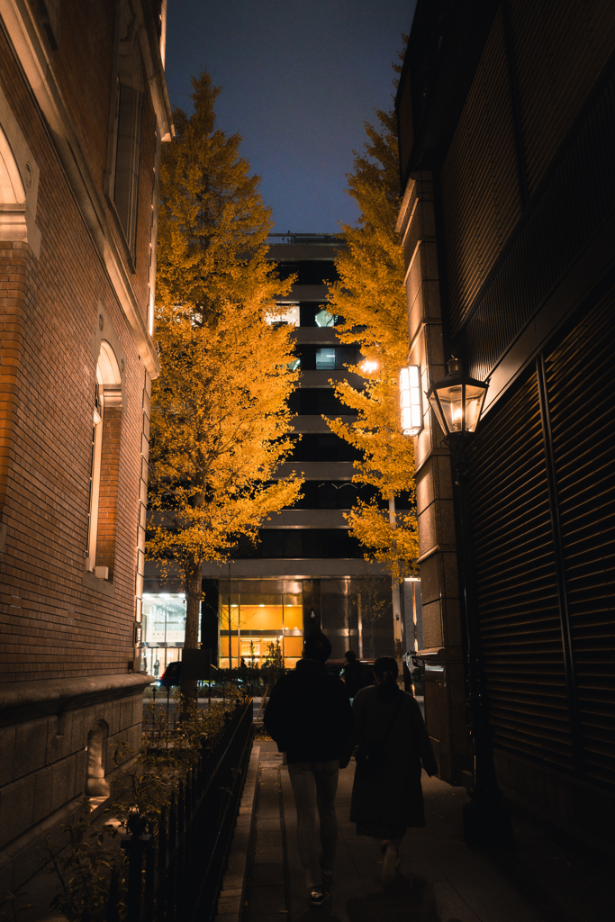 晩秋の丸の内