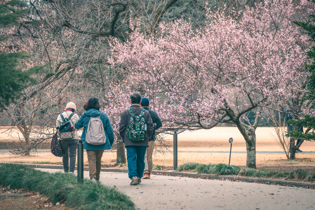 新宿御苑スナップ