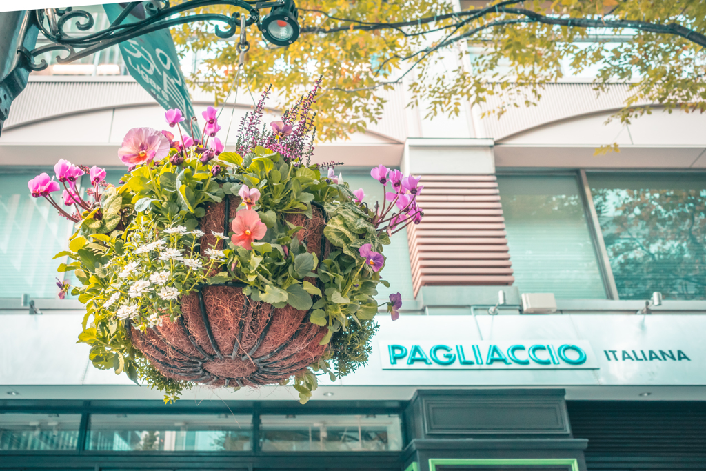 丸の内スナップ