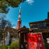 東京タワースナップ