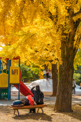 色鮮やかな休日のひととき