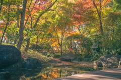 縁側から紅葉