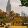 新宿御苑秋の風景