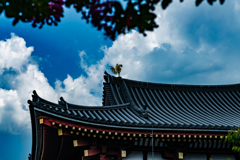平等院鳳凰堂