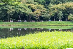 小石川後楽園　ベンチでひとやすみ