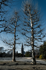 新宿御苑スナップ