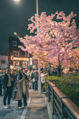 河津桜と見上げればスカイツリー