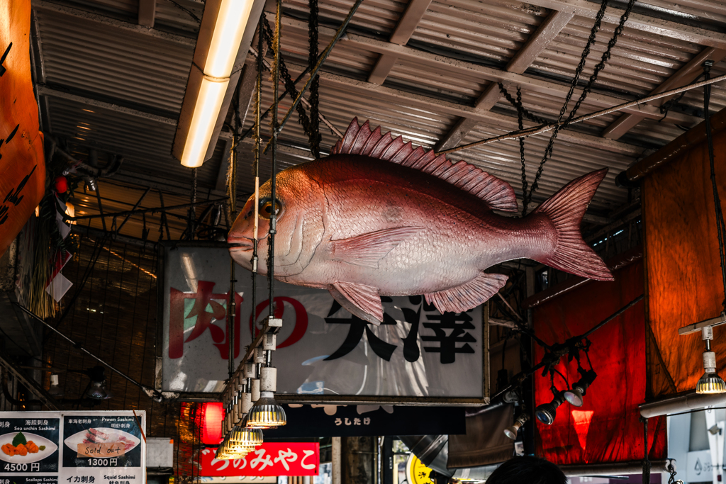 築地スナップ