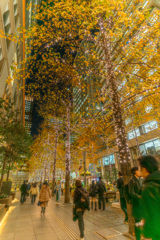 丸の内イルミネーション