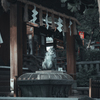 狛犬