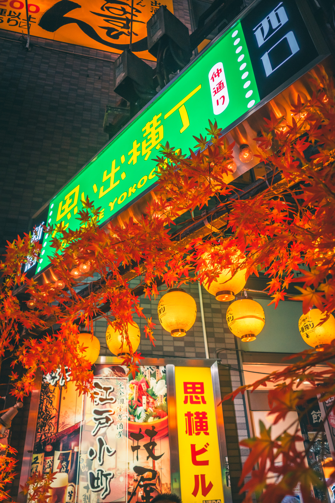 スナップ　新宿思い出横丁