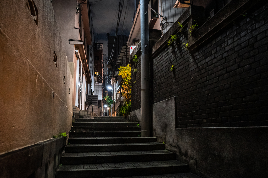 神楽坂スナップ