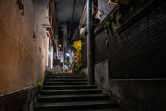 神楽坂スナップ