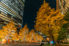 丸の内スナップ