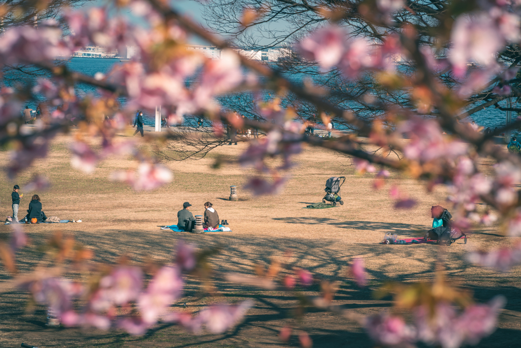 昼下がりの公園