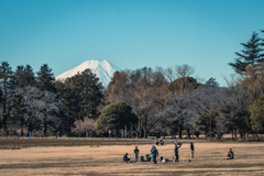 富士山