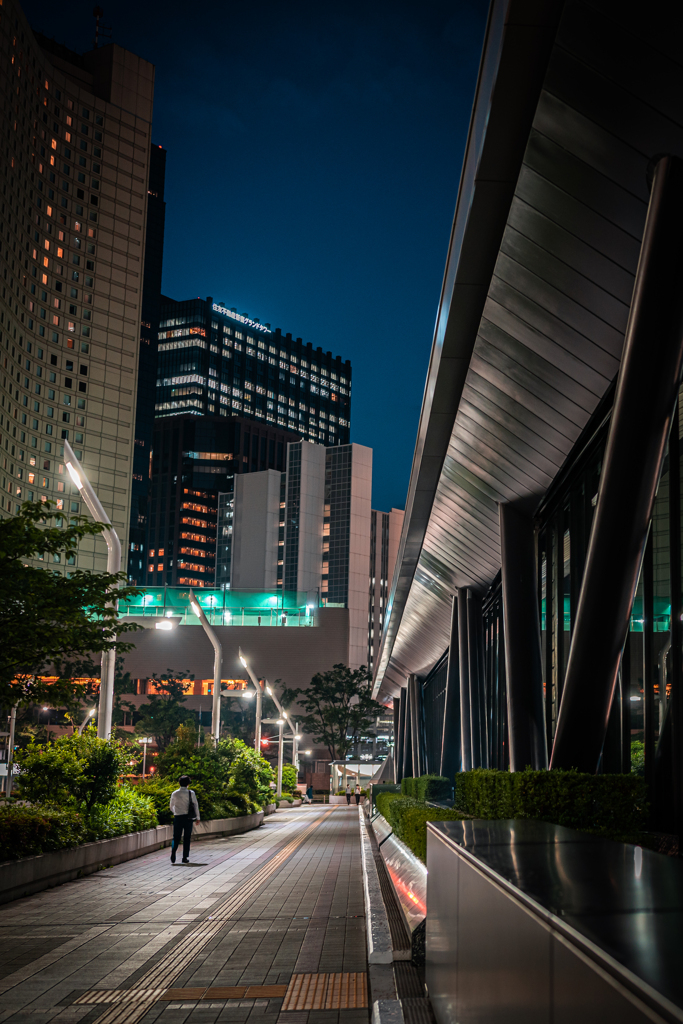 夜スナップ