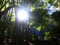 東慶寺