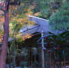 明月院