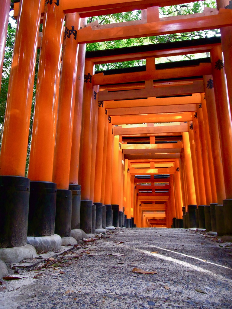 SAYURIの風景