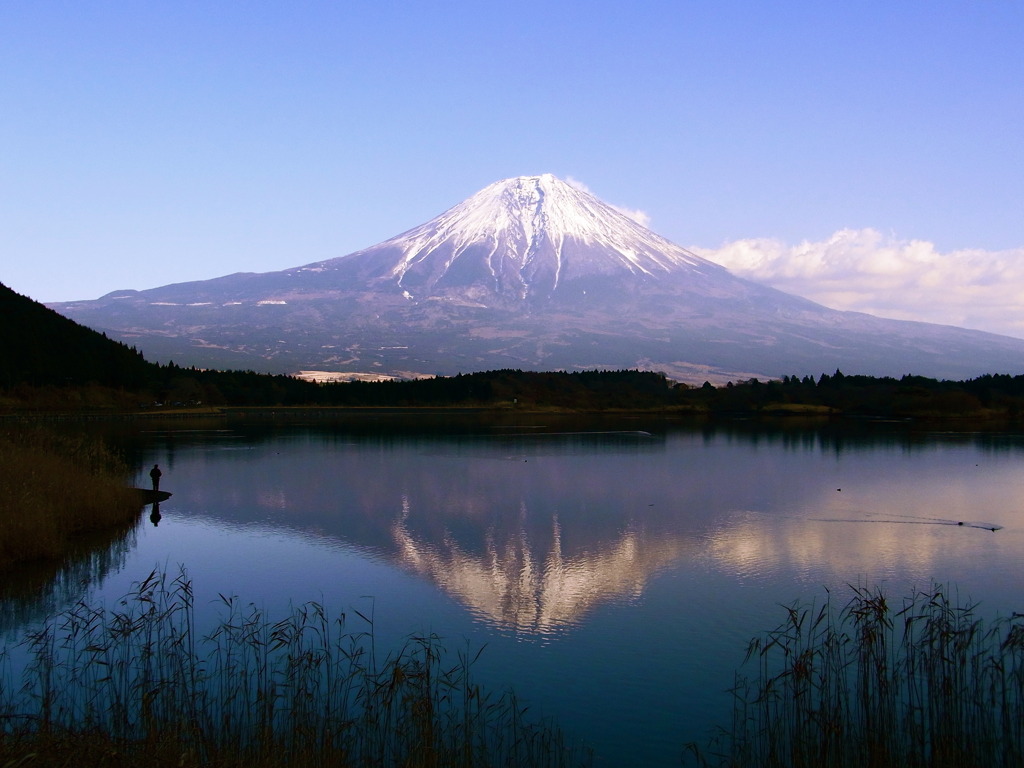 fuji