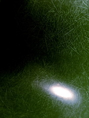 green universe