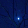 blue moon