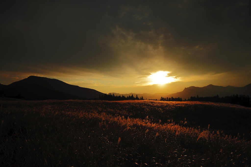 すすきのある夕景