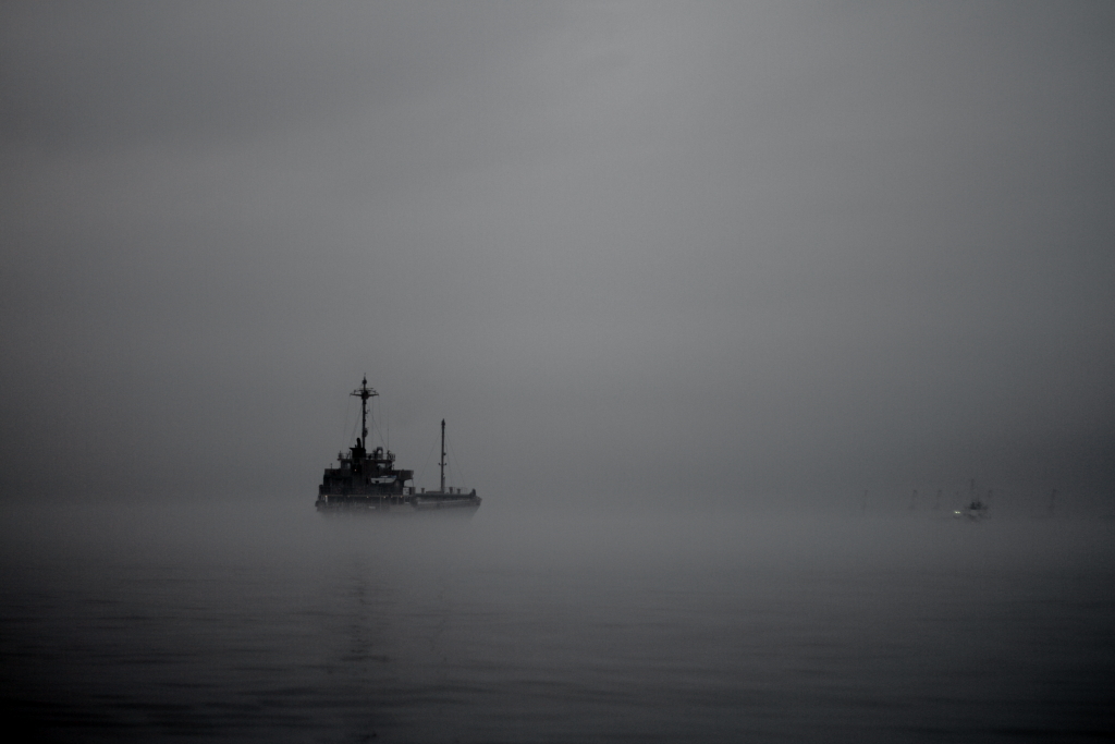 Fog　in the sea